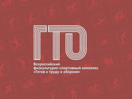 Фестиваль ГТО «Одна семья – одна команда!» Фестиваль ГТО «Одна семья – одна команда!».